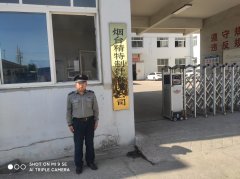 烟台精特制针有限公司（业绩）